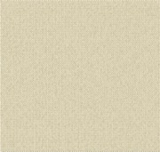 2/26Nm 95% Basolan Wool 5% Cashmere