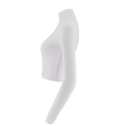 Turtleneck Long Sleeve Fitted Sweater
