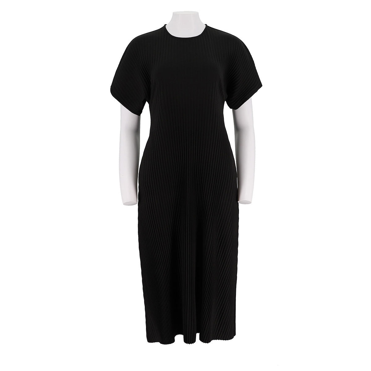 Pleated Dress Long Skirt