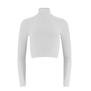 Turtleneck Long Sleeve Fitted Sweater
