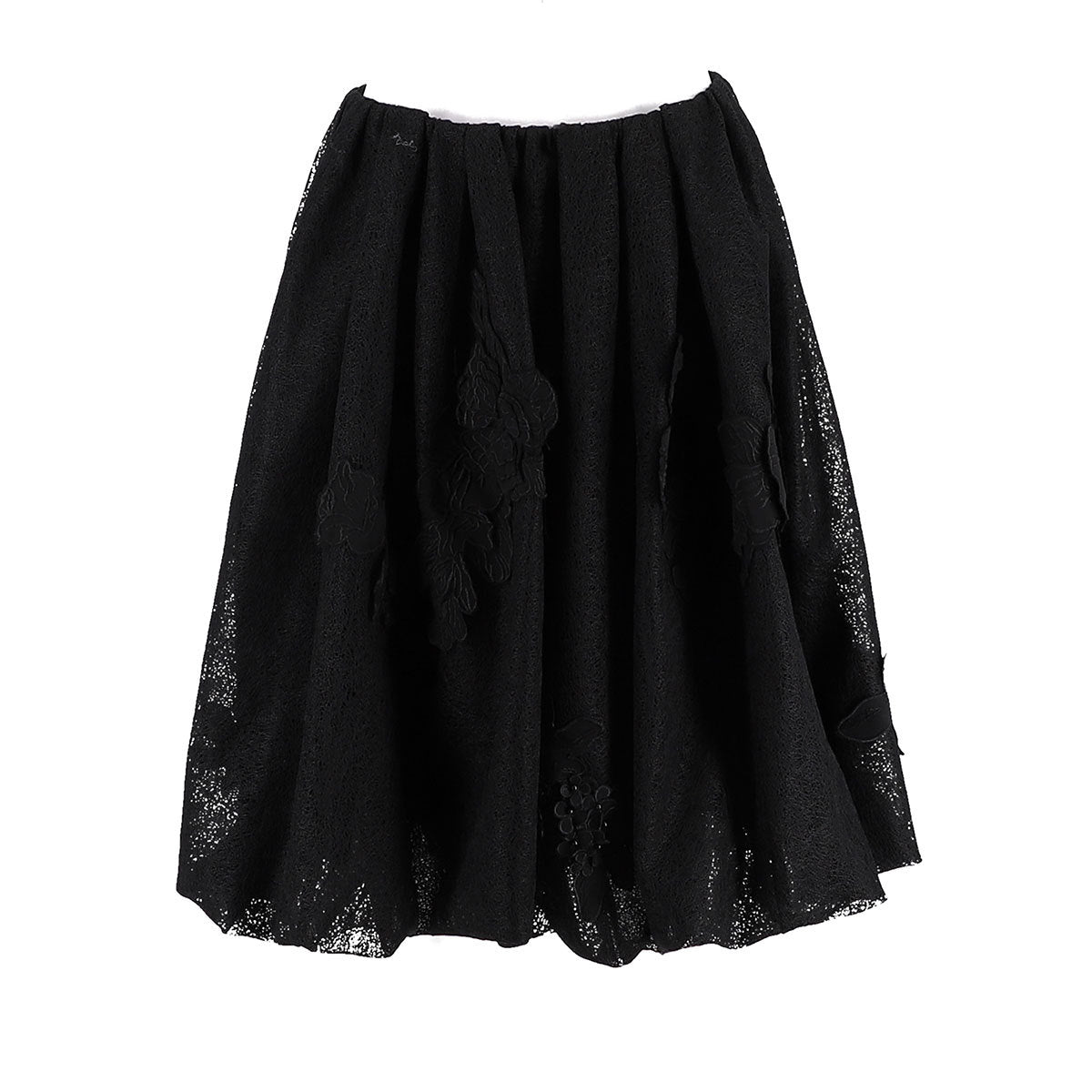 Lace A-Line Skirt With Floral Embroidery